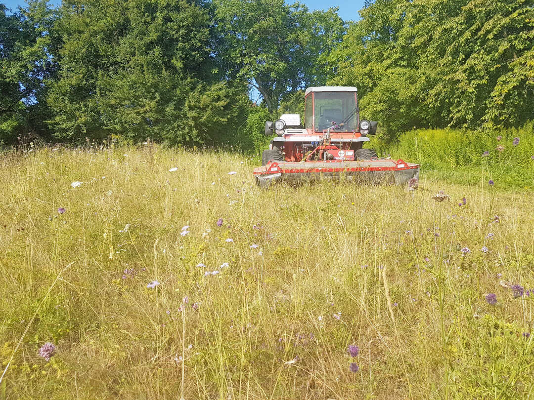 Mahd einer Magerwiesen mittels Hangschlepper im Kraichtal
