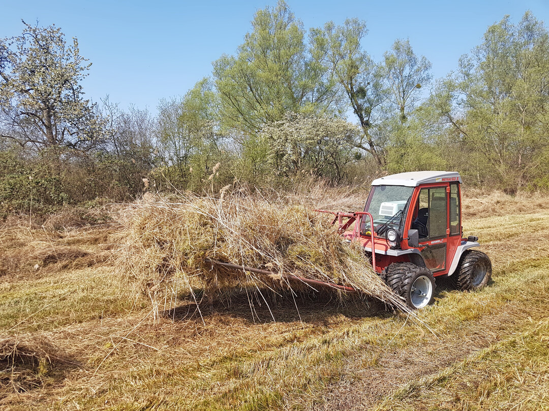 Abtransport des Mähgutes mittels Heuschwanz und Hangschlepper von einer Streuwiese