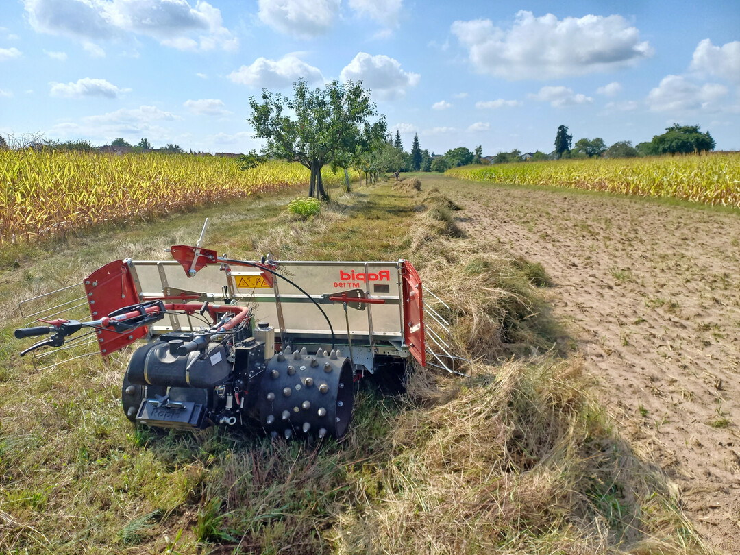 Abräumen des Mähgutes auf Streuobstwiesen mittels Bandschwader an einem Einachsgeräteträger
