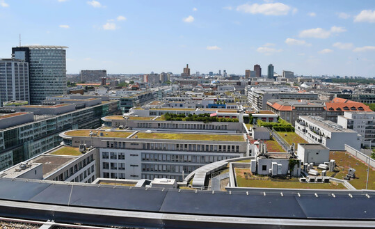 Die Grundlage jeder Dachbegr�nung ist eine wurzelfeste Dachabdichtung