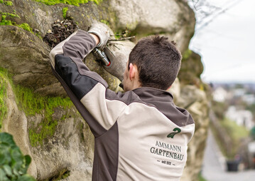 Gartenpflege ist bei Ammann Gartenbau eine qualifizierte T�tigkeit f�r gut ausgebildete Spezialisten.