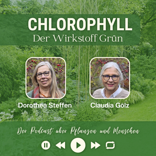 Chlorophyll Folge # 54 – Gartengestalterin Dorothea Steffen