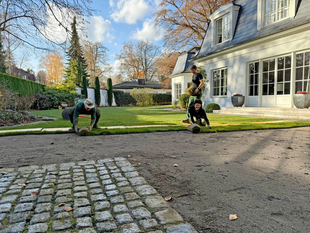 Rollrasenverlegung in rinem Münchner Villengarten.