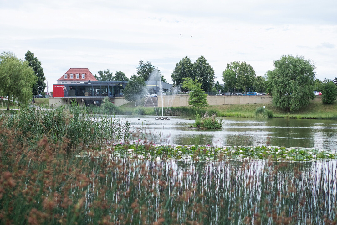 Die Gr�ne Achse in Leinefelde verbindet den Bahnhof von Leinefelde-Worbis �ber den M�rtensteich (Foto), die Obereichsfeldhalle, die Fu�- und Radverbindung "Am Leinesportpark" und die Goethestra�e mit der S�dstadt.�
