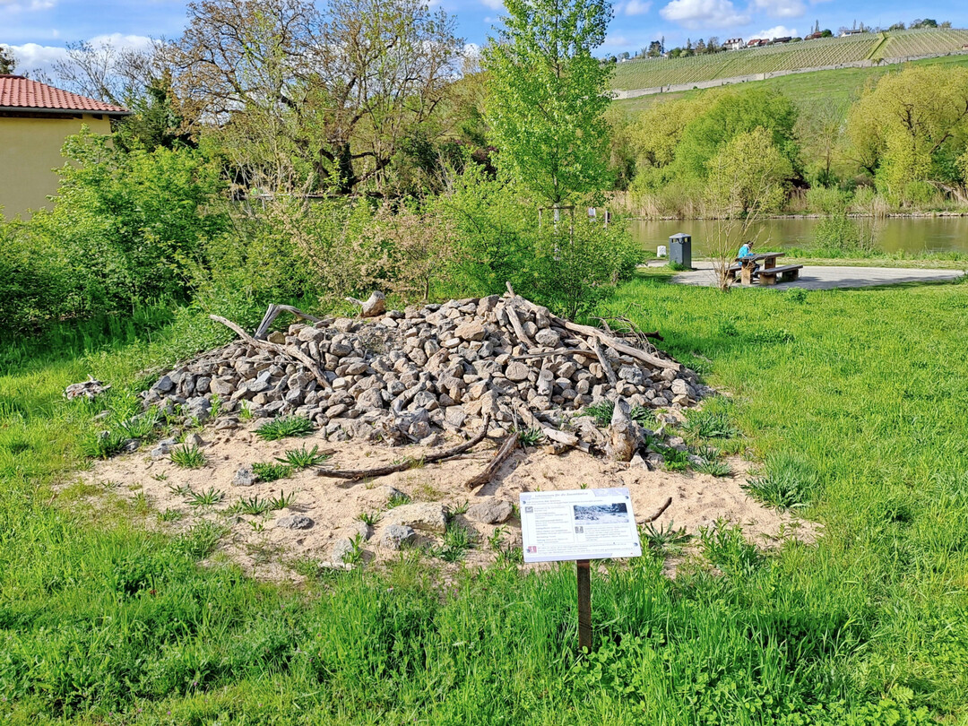 Lesestein-Totholz-Riegel mit Sandlinsen in Würzburg