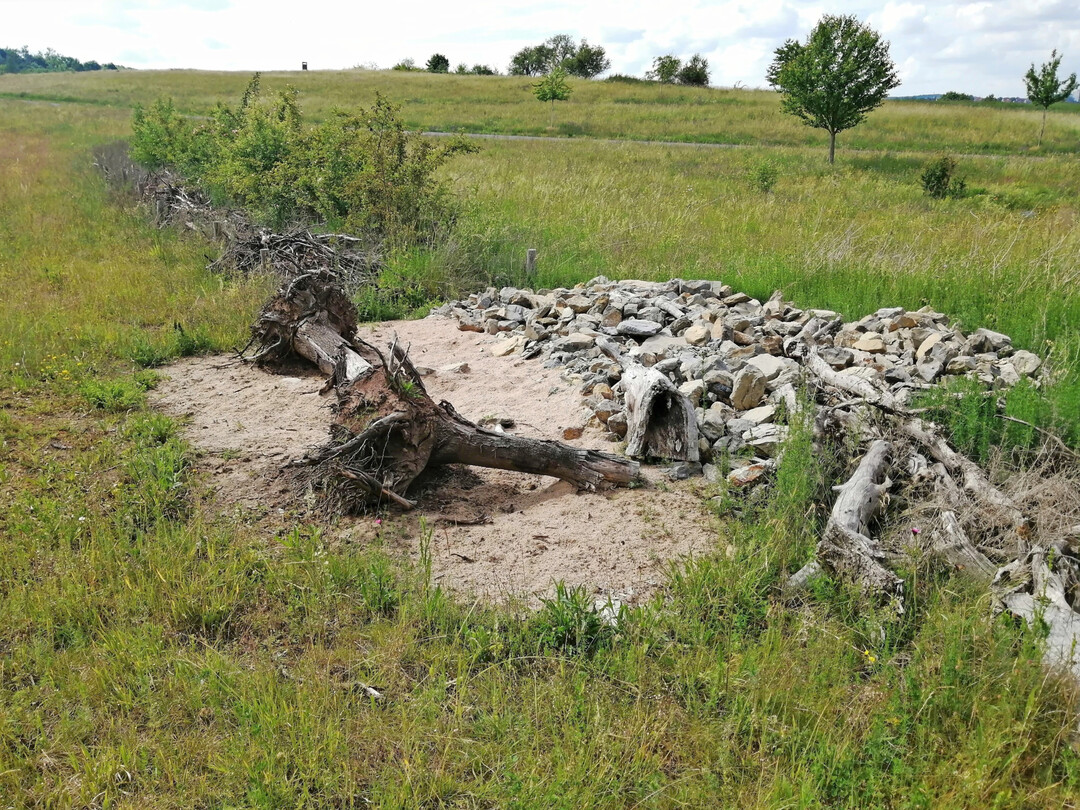 Lesestein-Totholz-Riegel mit Sandlinsen in Würzburg