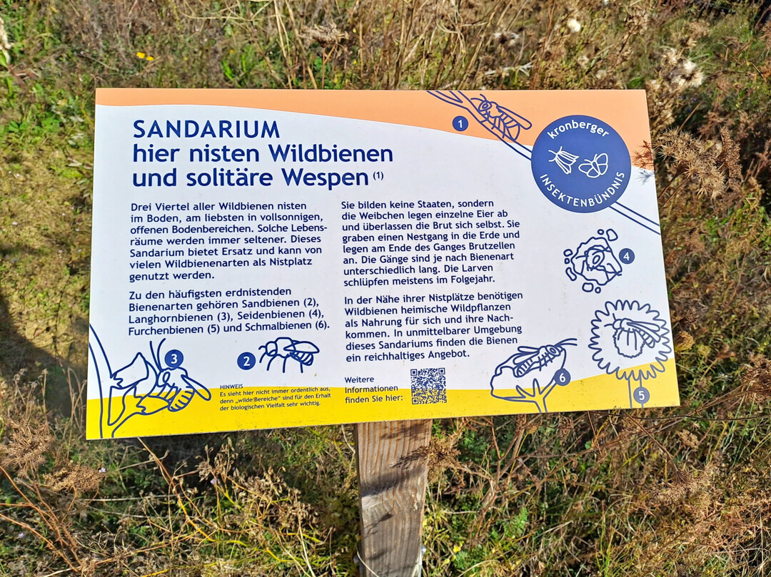 Info-Tafel an einer Sandlinse in Kronberg im Taunus