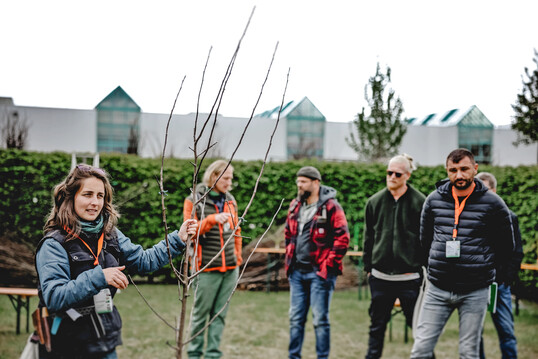Techniken der Pflanzung und Pflege von Obstbäumen sind Thema in der neuen Messehalle 3.