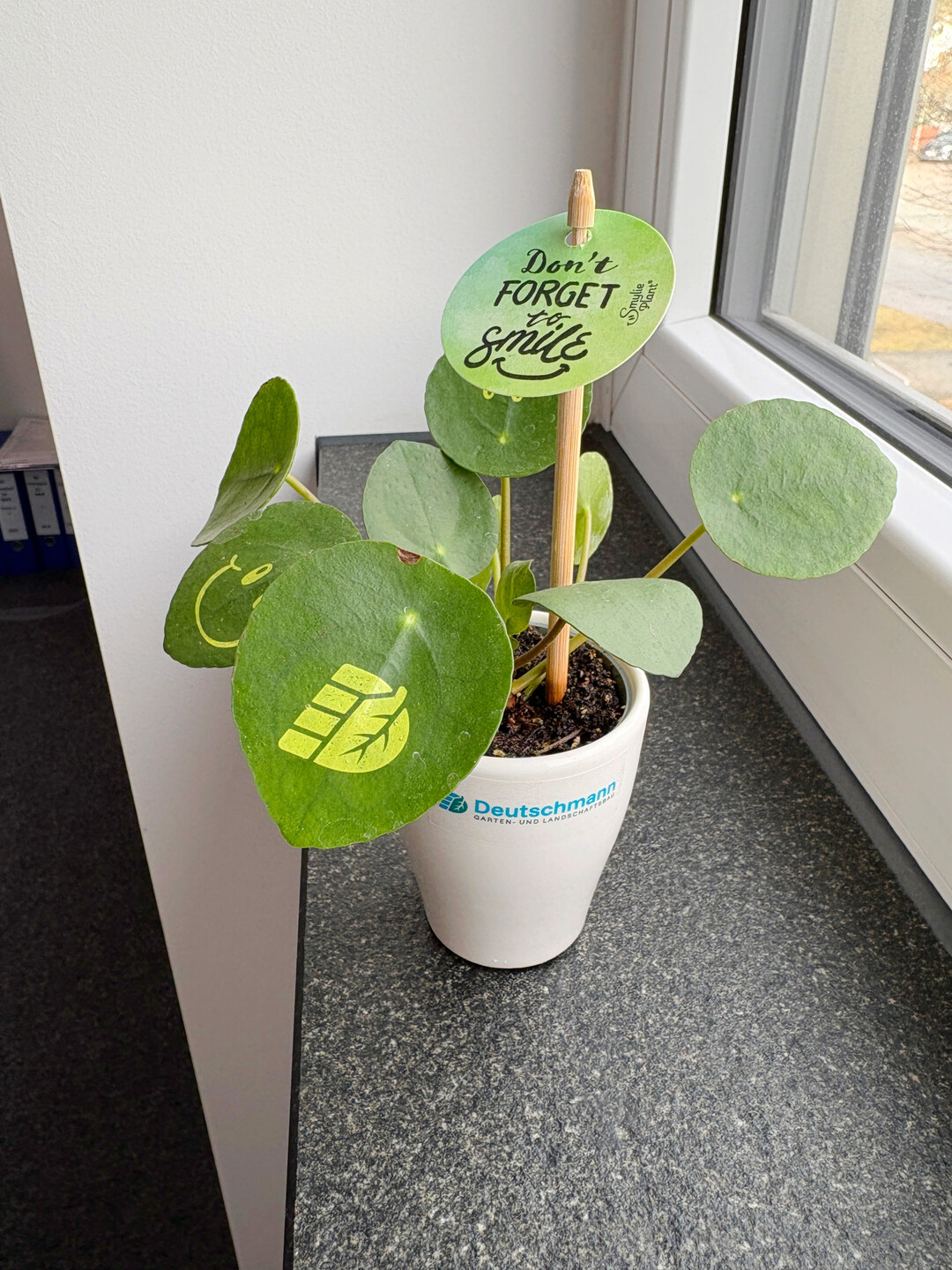 Marketing war im Unternehmen bisher eher Nebensache.