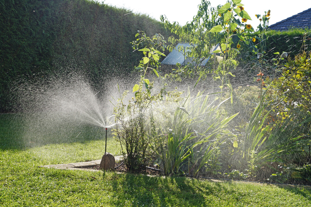 Die richtige Bew�sserung im Hausgarten spart wertvolles Wasser.