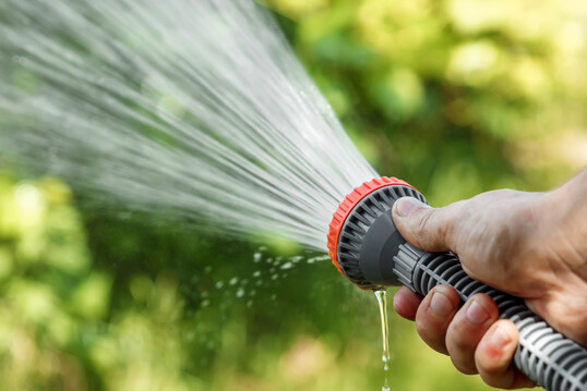 Wer mit dem Gartenschlauch w�ssert, muss besonders auf die Menge achten. Bei zu wenig Wasser bleiben die Graswurzeln flach.