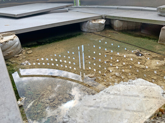 Stehendes Wasser auf der Dachabdichtung stellt nicht zwangsl�ufig einen Mangel dar, sondern ist h�ufig der Anlass f�r die Ausf�hrung einer aufgest�nderten Terrasse.