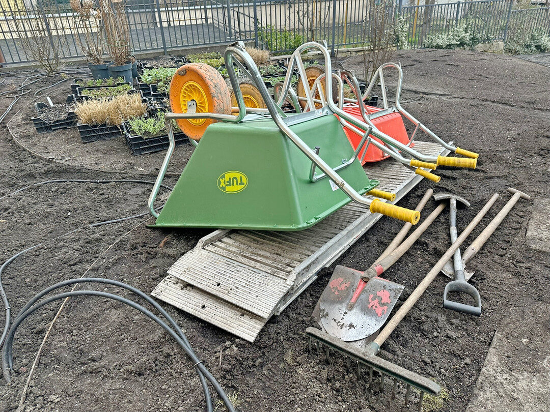 Hunderte Stauden sollen dafür gesetzt werden.