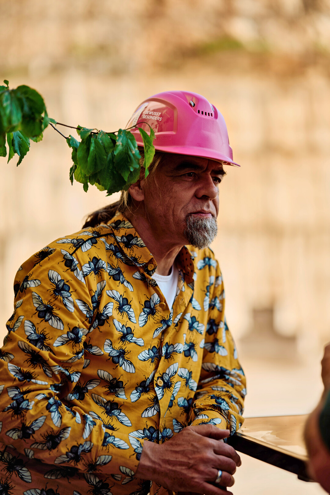 Tjards auf Knumox-Veranstaltungen