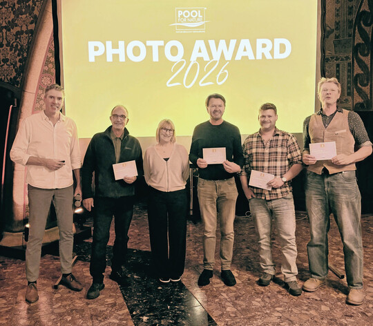 Photo Awards