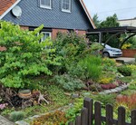 „Vorgarten in einer städtischen Einfamilienhaussiedlung“