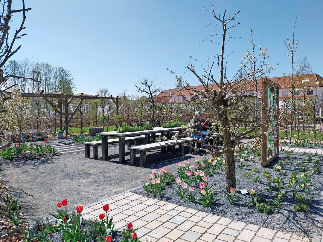 Schaugarten der Landschaftsbaugesellschaft M�hlhausen (Planung: Plan drei, Erfurt)
