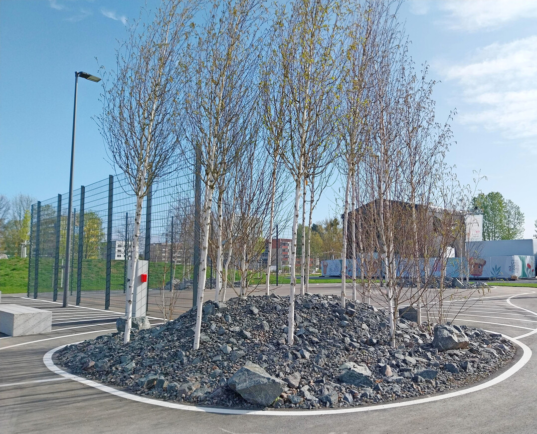 Drei solcher Inseln gibt es nahe der Skateanlage � aus g�rtnerischer Sicht ein R�tsel.