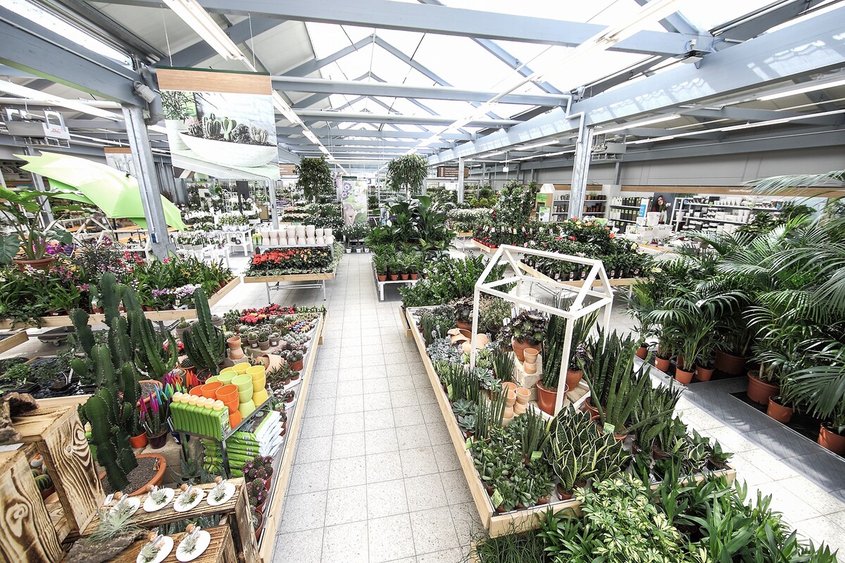 Halbleiter progressiv Klatschen dehner karlsruhe gartenmöbel treiben