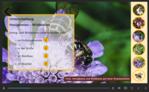 Screenshot der Lernanwendung: Wie unterscheidet sich die Honigbiene von den Wildbienen?