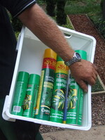 Das Finish steht an – jetzt wird auch beim Blattglanz nicht gespart, weil der hilft, den Staub von den Blättern zu bringen. Der Hauptweg hat eine wassergebundene Decke, entsprechend sehen die Pflanzen dann nach einem gut besuchten Tag aus