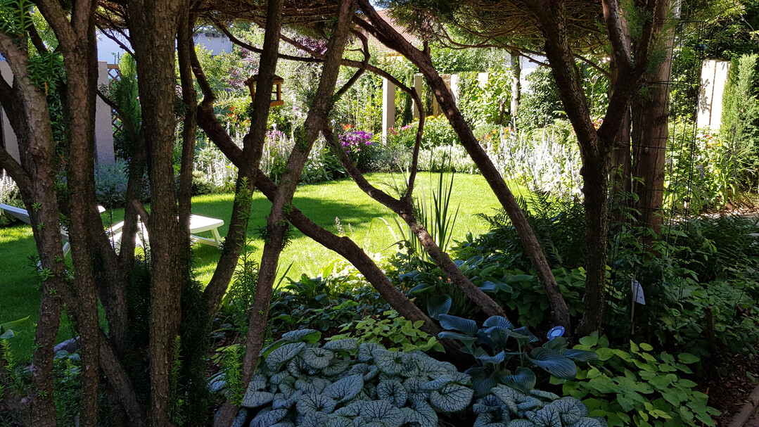 Gartenanlage von 
ProNatur in Heidelberg