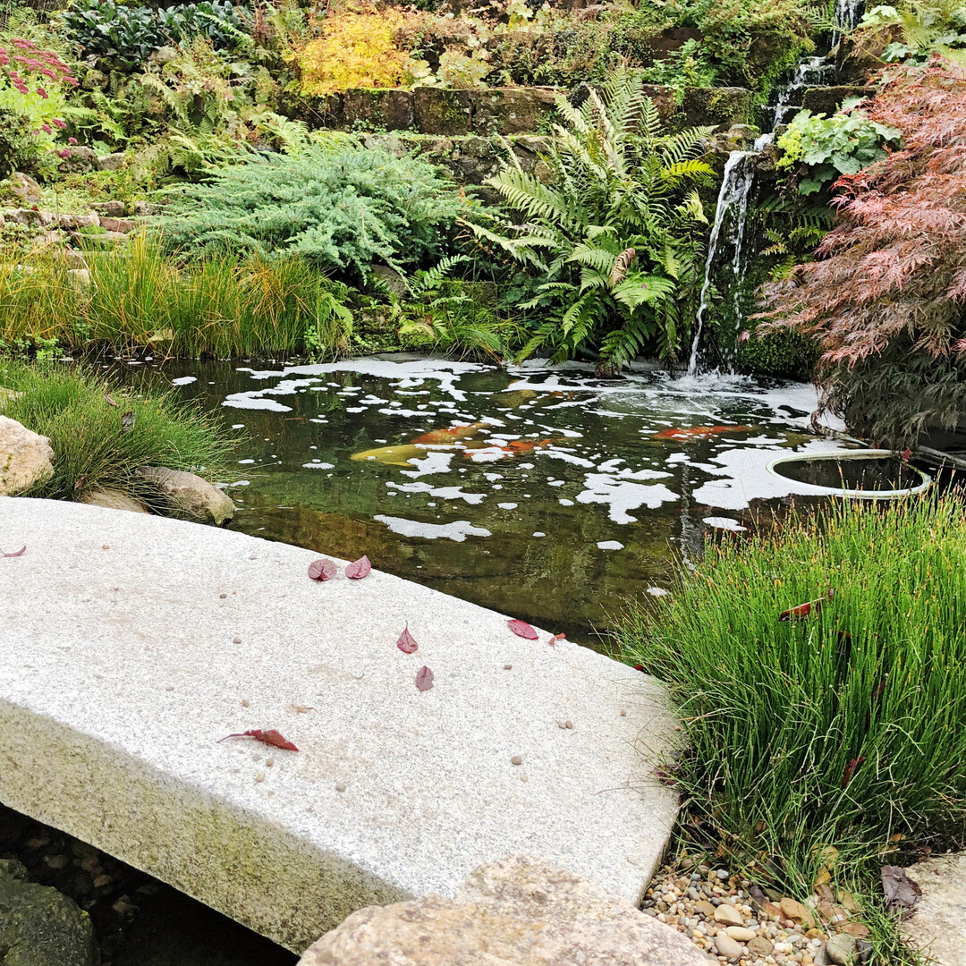Gartenanlage von 
ProNatur in Heidelberg
