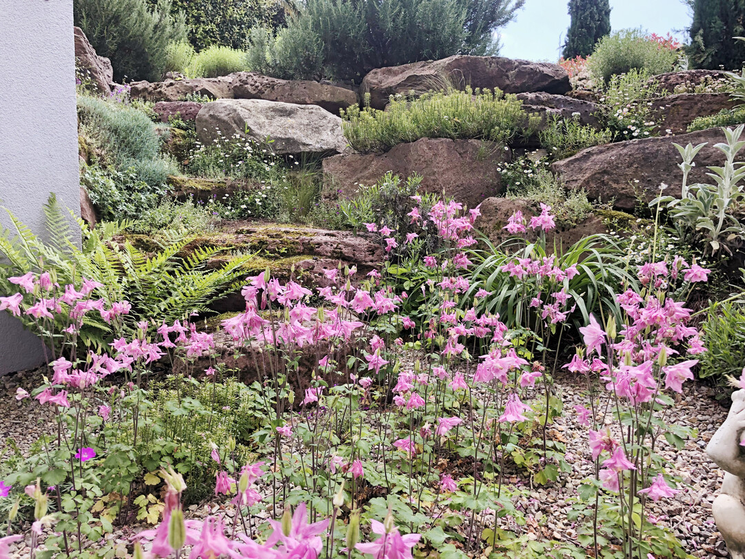 Gartenanlage von 
ProNatur in Heidelberg