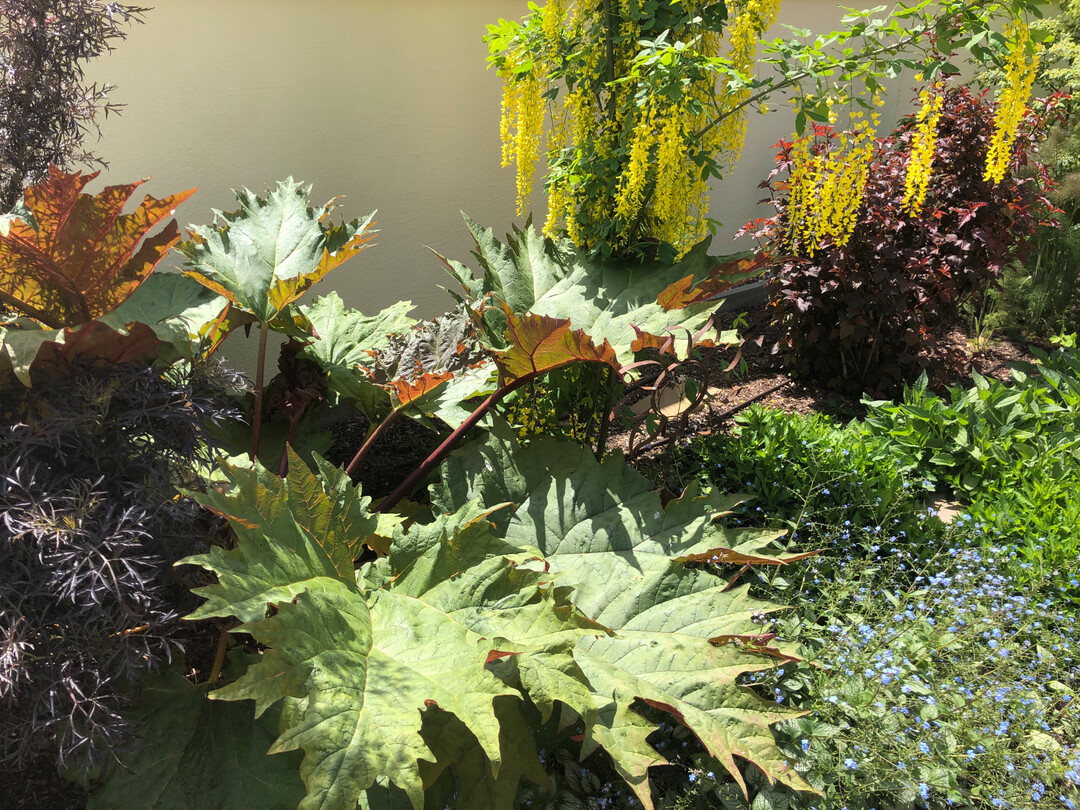 Gartenanlage von 
ProNatur in Heidelberg