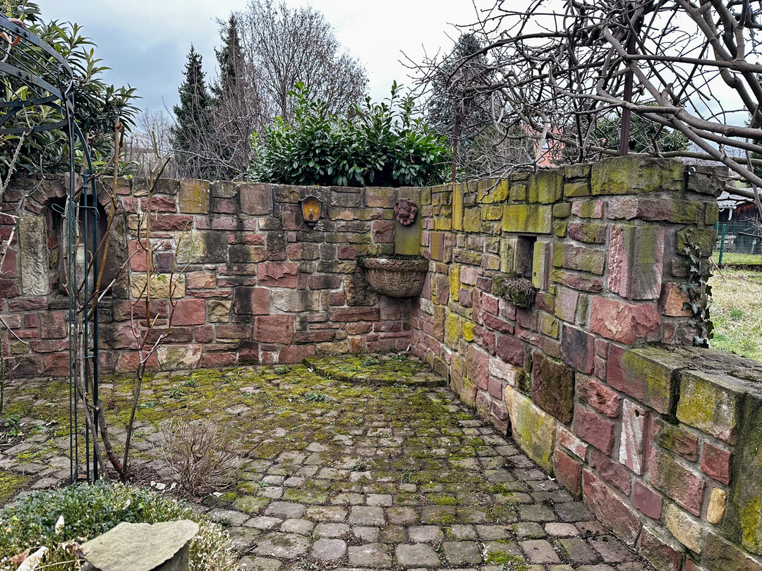Privatgarten von Thomas Hartmann, ProNatur in Heidelberg