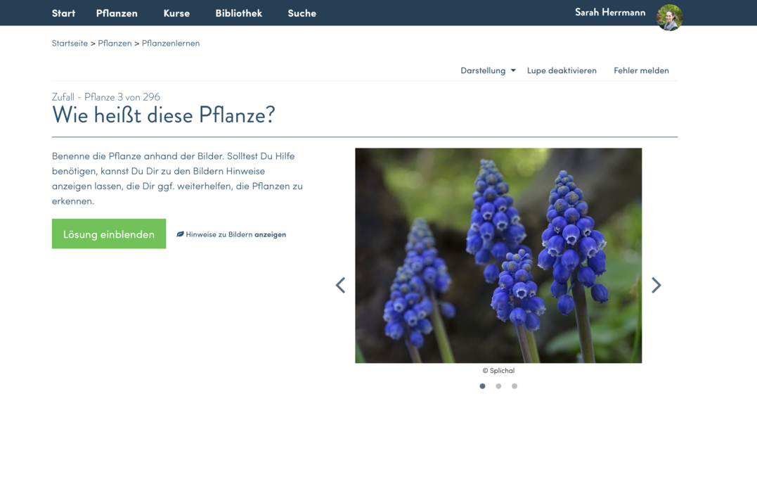 So macht Pflanzen lernen Spa