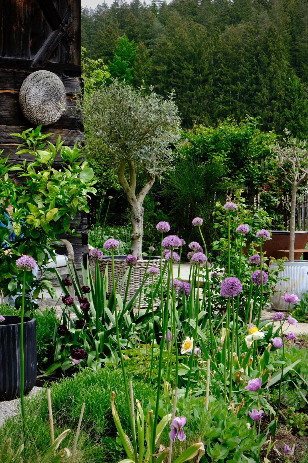 Garten von Alexandra Lehne