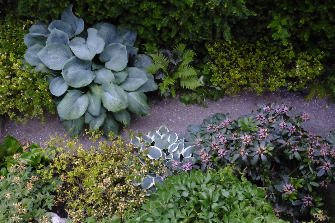 Garten von Alexandra Lehne