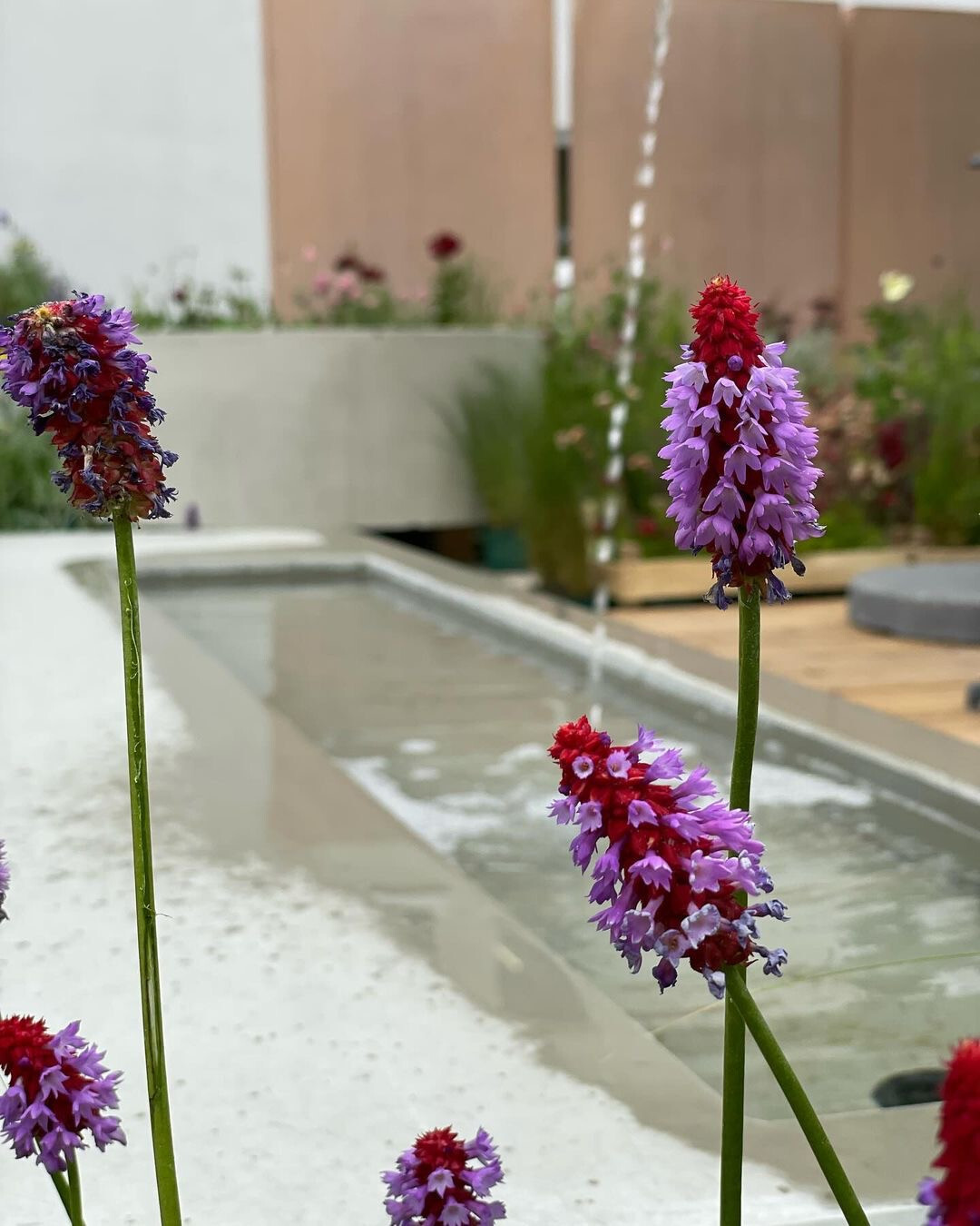 Showgarten Frstenfeld