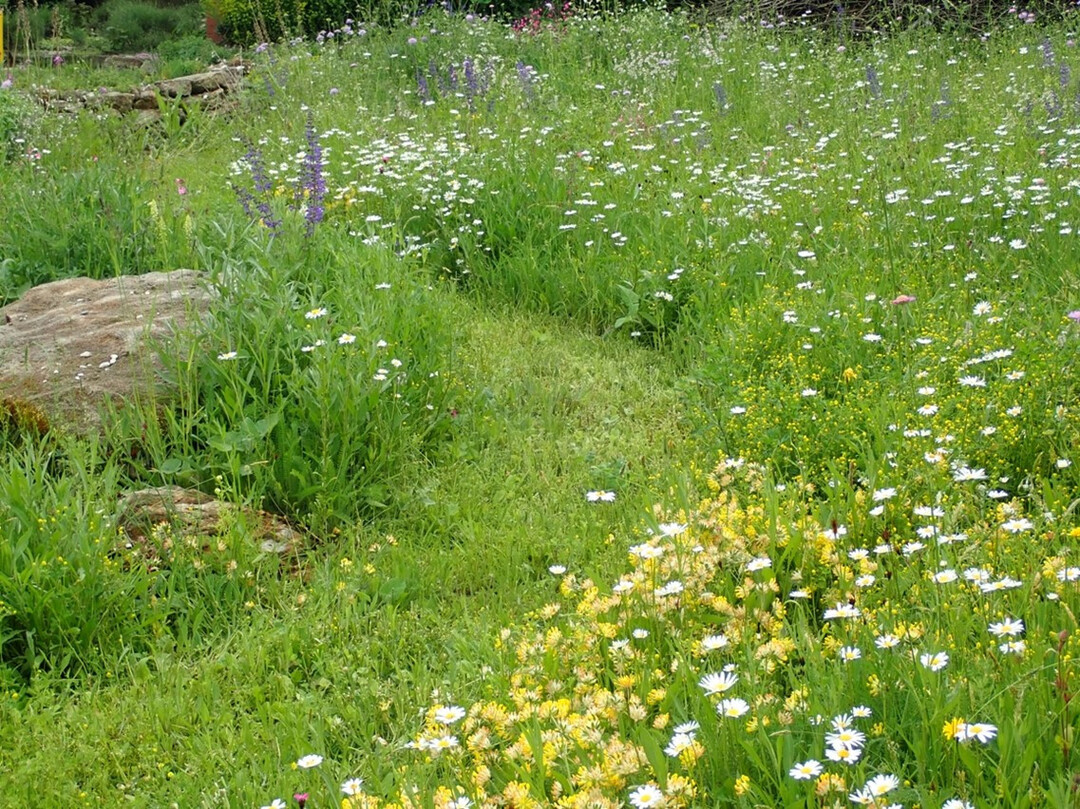 Im Hausgartenbereich kann man das sehr gut mit dem Ausmhen von Laufwegen und Lichtungen, z.B. fr Sitzpltze darstellen, die durch den Garten wandern.