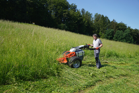 Mit dem Einachs-Geräteträger Aebi CC 140e gelingt die kraftstofflose Wiesenmahd – eine gelungene Lösung für ökologisch ausgerichtete Landwirte und Kommunaldienste.