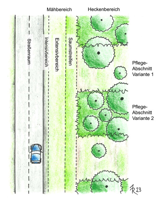Schematische Darstellung der abschnittsweisen Pflege des Mh- und Heckenbereichs im Straenbegleitgrn (Draufsicht)