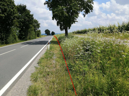 Sowohl aus praktischen Grnden als auch im Sinne einer naturfreundlichen Pflege ist es gerade im Straenbegleitgrn sinnvoll, zwischen Sicherheitsstreifen (Intensivbereich) und Extensivbereich zu unterscheiden.