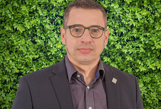 Michael Stein