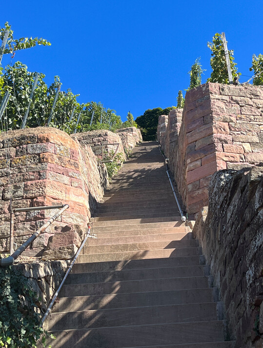 Sieger in der Kategorie Landschaftsarchitektur und Freiraumgestaltung: Historische Weinbergmauern in Karlsruhe - Durlach von Agence Ter .de GmbH Landschaftsarchitekten