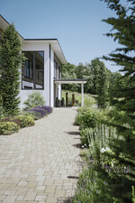 Pflasterstein Tegula