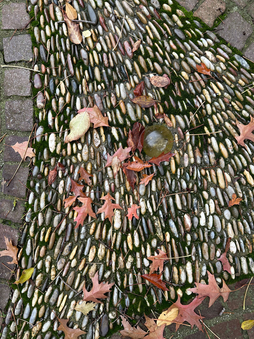 Grten fr Augen und Seele