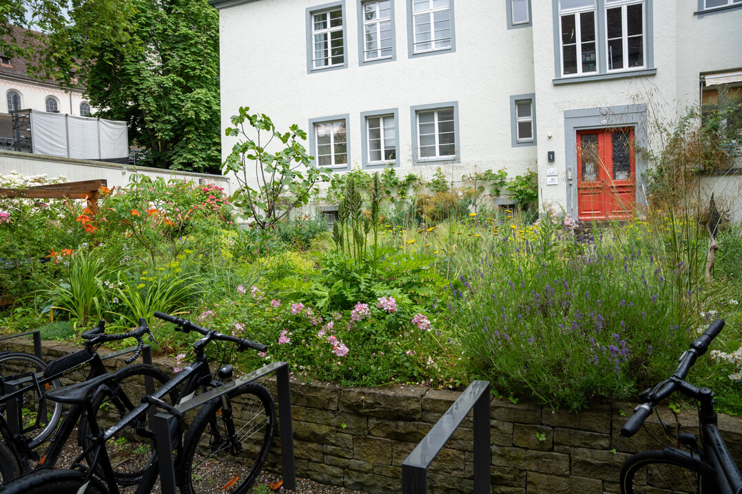 Pallottinergarten in Konstanz