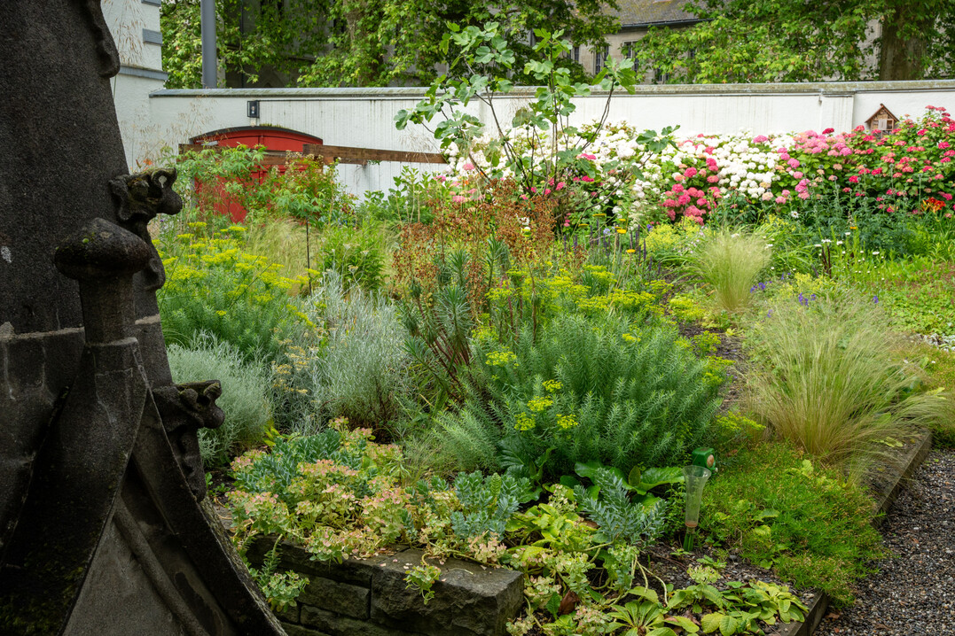 Pallottinergarten in Konstanz