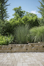 Tegula-Pflaster + Santuro-Mauer