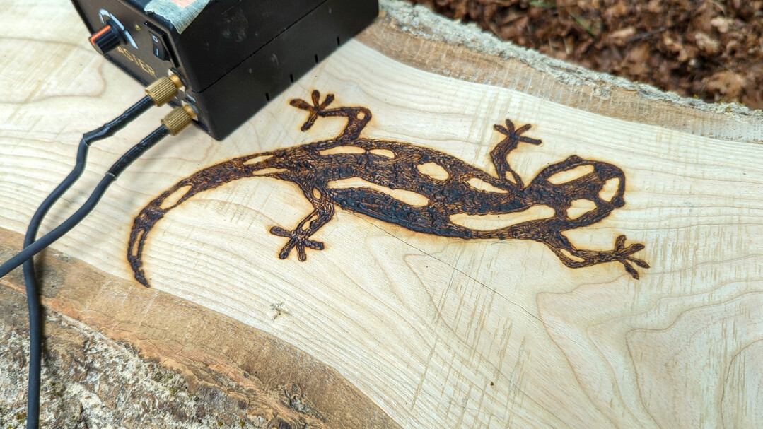  wie diesen Salamander.