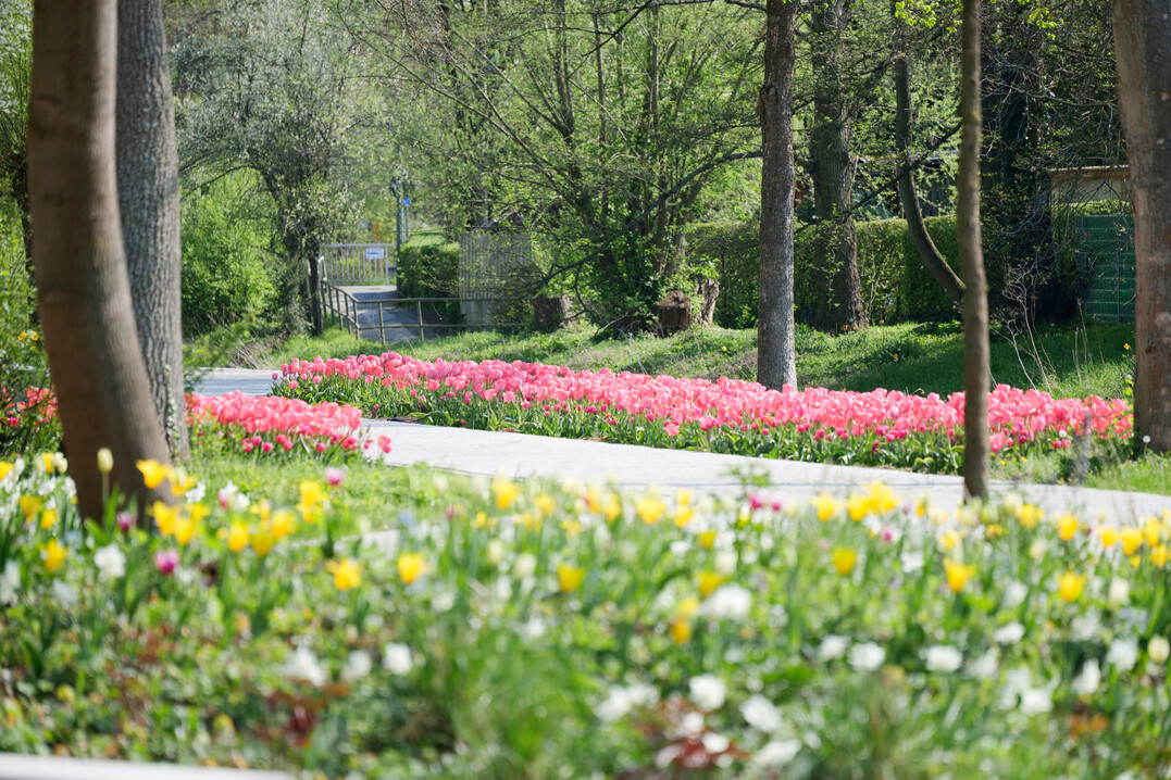 Landesgartenschau Bad Gandersheim