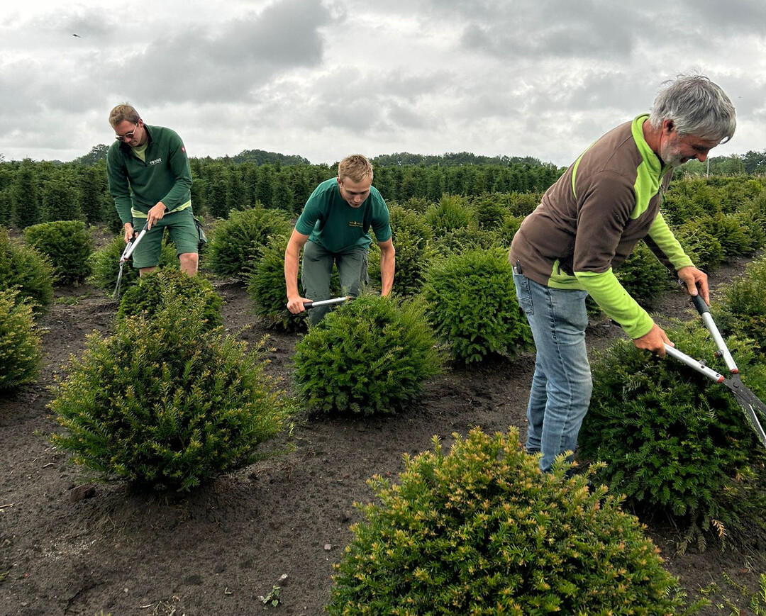 Mit dem Spezialisten Jan Gerd Gerdes (r.) perfektionierten Anton (l.) und Theo (m.) ihre Technik im Formgehlzschnitt. 