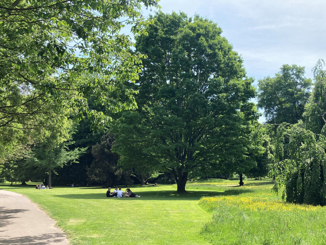 Arboretum der Uni Hohenheim mit den Funktionen eines Stadtparks und naturnahen Bereichen