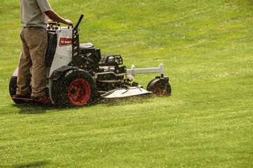 Bobcat ws4000